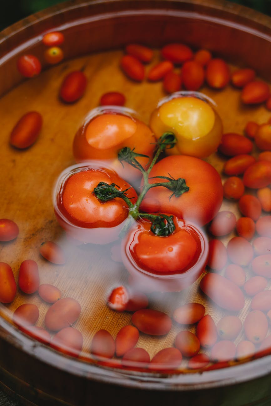 water bowl with ripe fresh tomatoes in daylight