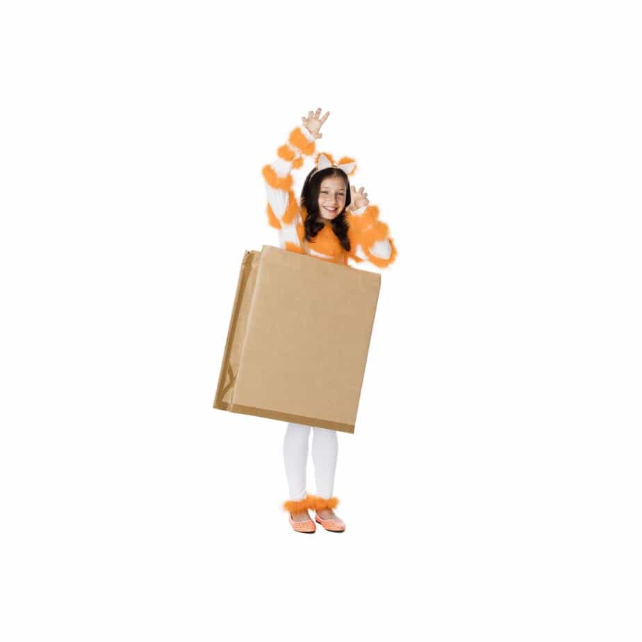 Cat Out of the Bag costume DIY: Top 10 Funny Halloween Costumes for Kids and Grown-ups