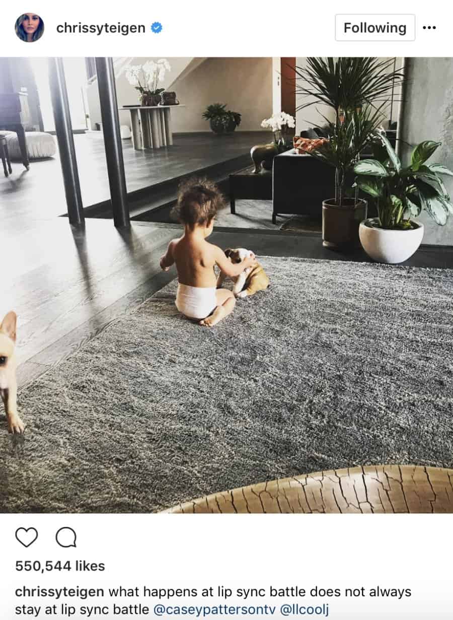 Chrissy Teigen and John Legend adopted a dog named Pepper